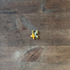 Image for article titled The Week In Pictures – Week Of March 30, 2020